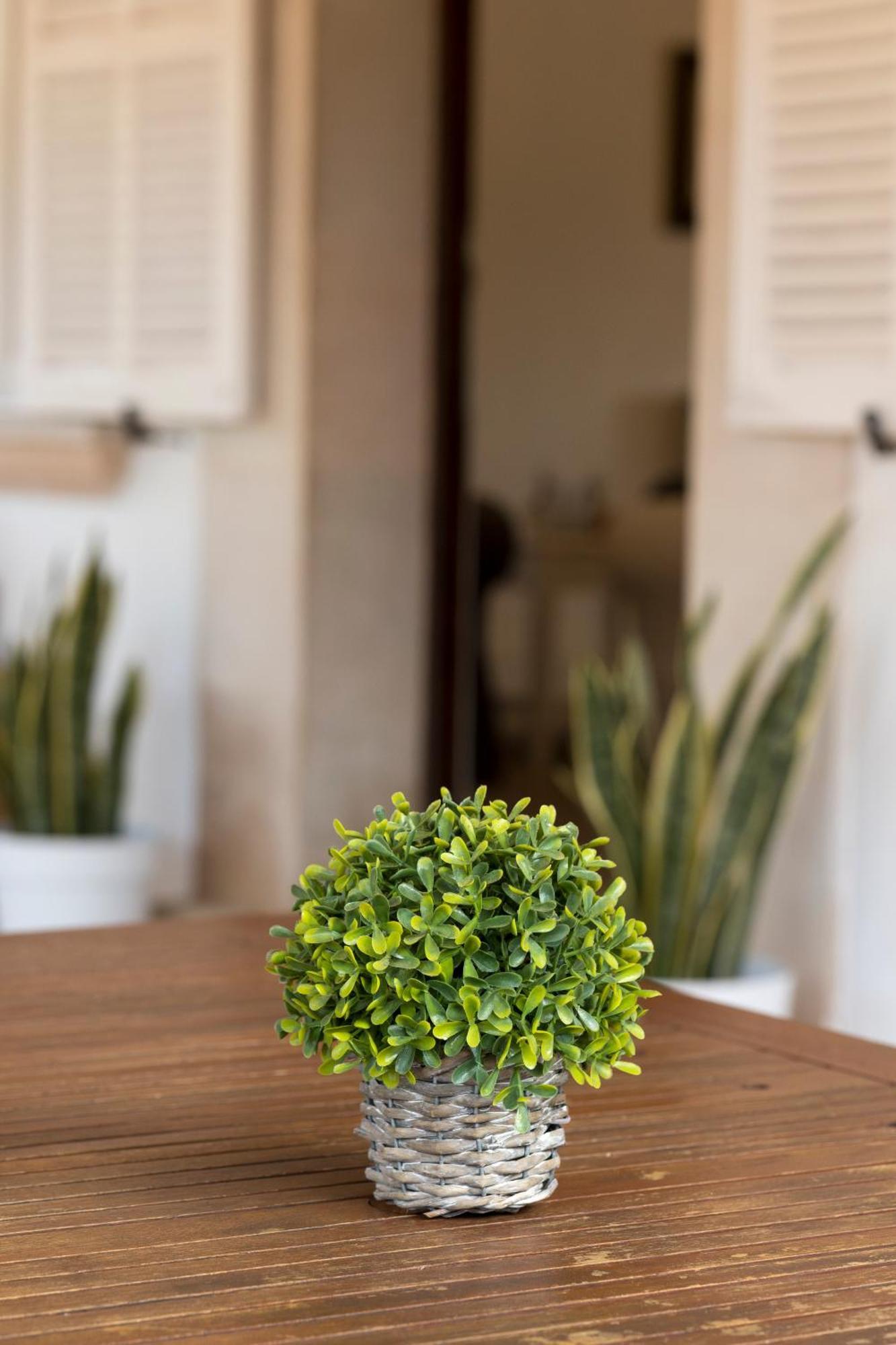 Villa Mestral Αλκούδια Εξωτερικό φωτογραφία